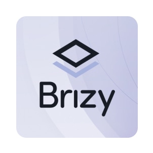 Brizy logo
